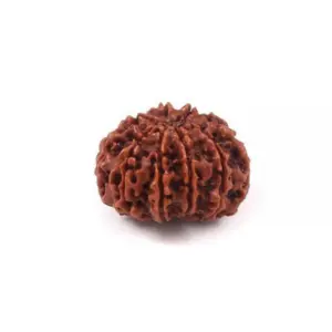 9 mukhi